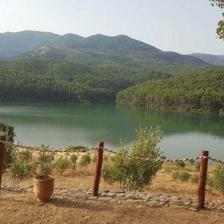 Relais De Tahla Hotell Aïn Bou Mahdi Eksteriør bilde